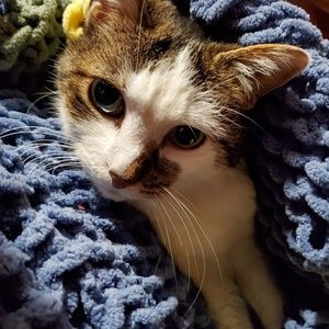 Meet your Posher, Sue